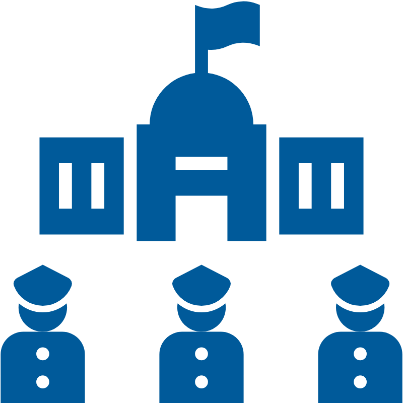 Domestic Government Moves Icon